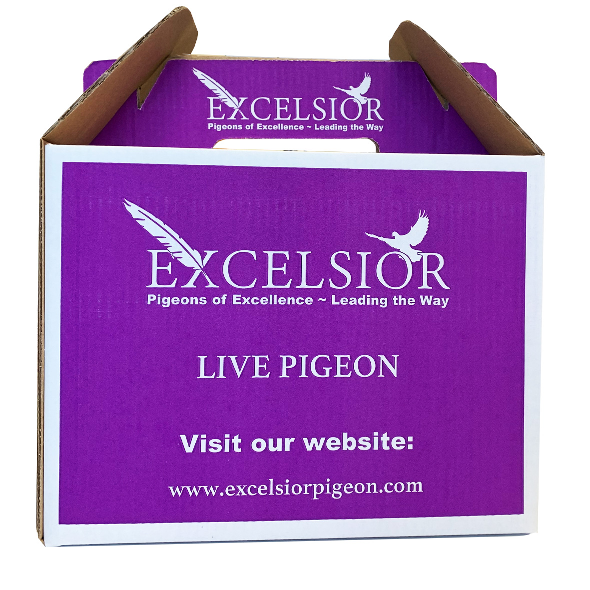 pigeon-transportation-box-50